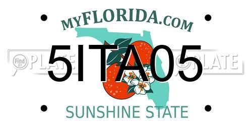 5ITA05 Florida License Plate