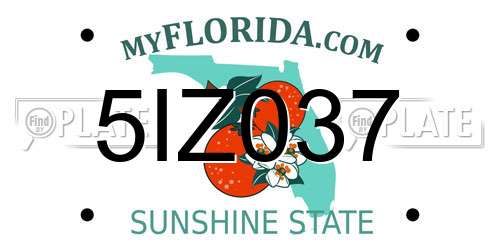 5IZ037 Florida License Plate