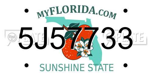 5J57733 Florida License Plate