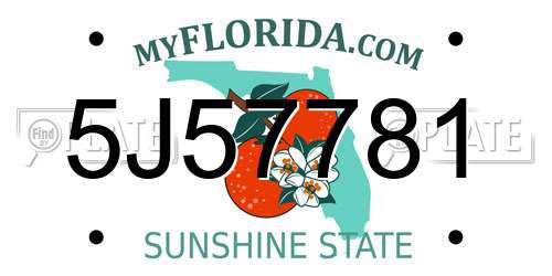 5J57781 Florida License Plate