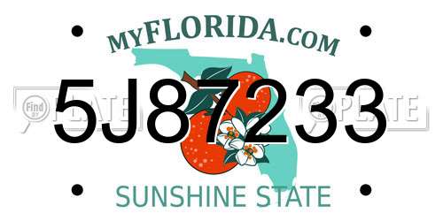 5J87233 Florida License Plate