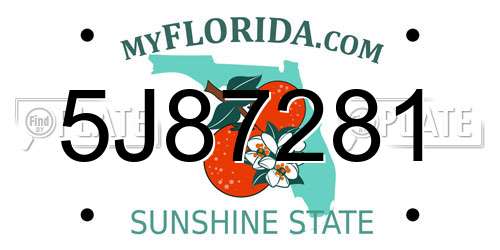 5J87281 Florida License Plate