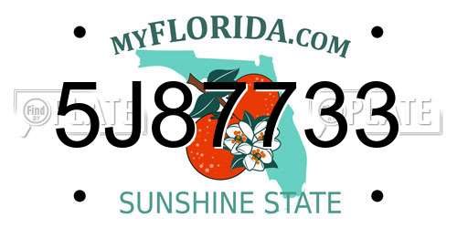 5J87733 Florida License Plate