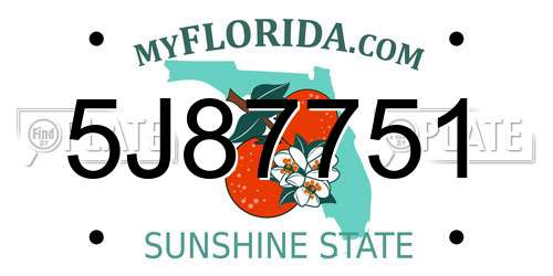 5J87751 Florida License Plate
