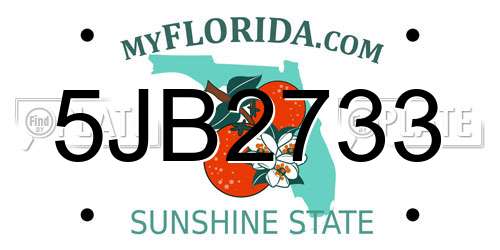 5JB2733 Florida License Plate