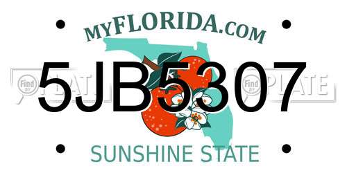 5JB5307 Florida License Plate