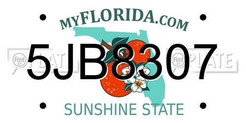 5JB8307 Florida License Plate