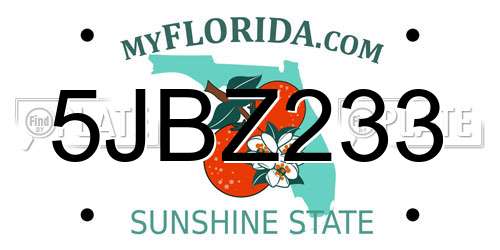 5JBZ233 Florida License Plate