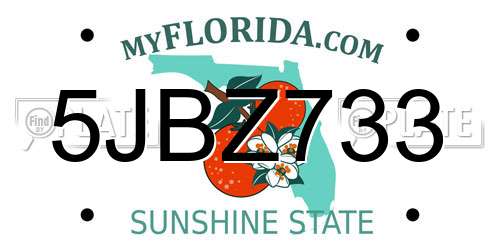 5JBZ733 Florida License Plate