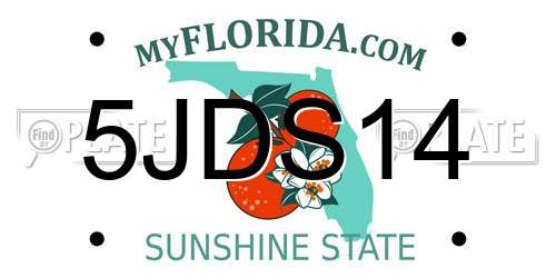 5JDS14 Florida License Plate
