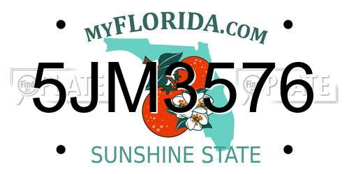 5JM3576 Florida License Plate