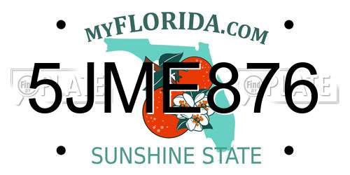 5JME876 Florida License Plate