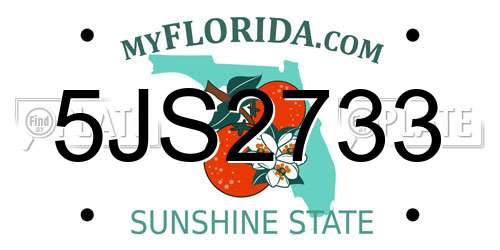 5JS2733 Florida License Plate