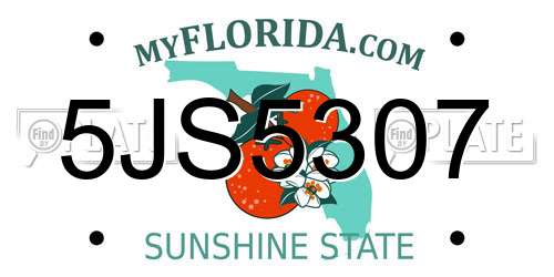 5JS5307 Florida License Plate