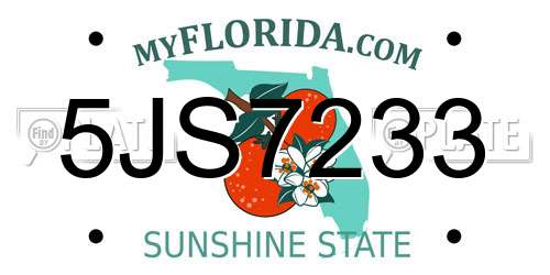 5JS7233 Florida License Plate