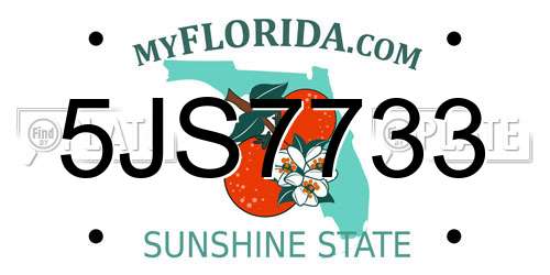 5JS7733 Florida License Plate