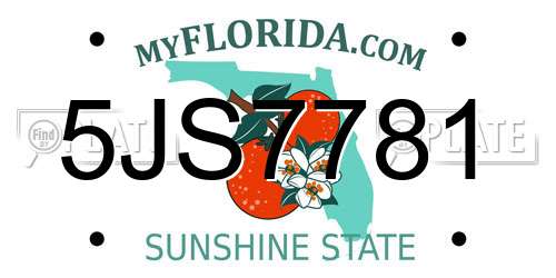 5JS7781 Florida License Plate