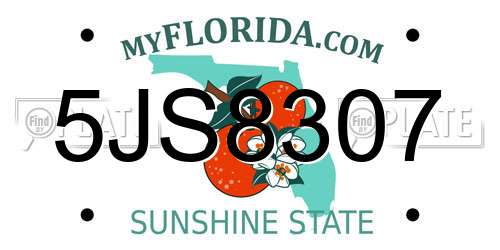 5JS8307 Florida License Plate
