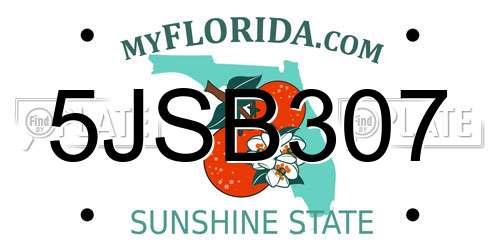 5JSB307 Florida License Plate