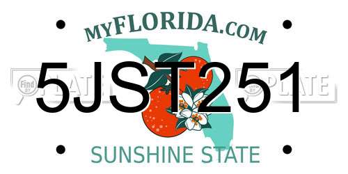 5JST251 Florida License Plate