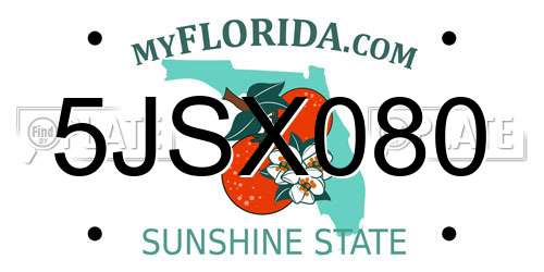 5JSX080 Florida License Plate