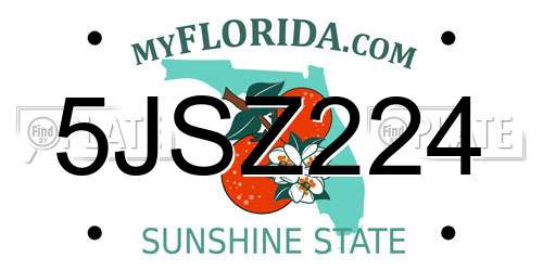 5JSZ224 Florida License Plate