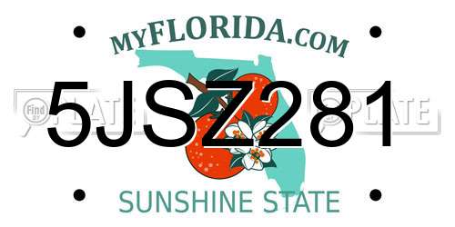 5JSZ281 Florida License Plate