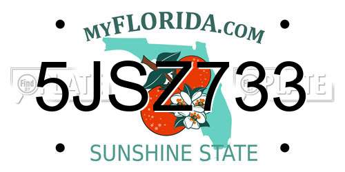 5JSZ733 Florida License Plate