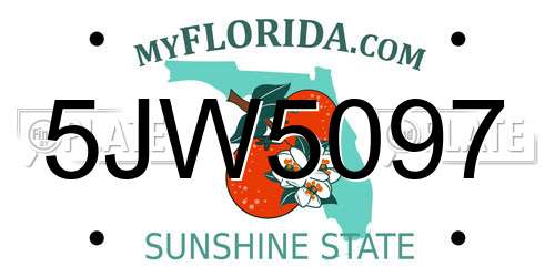 5JW5097 Florida License Plate