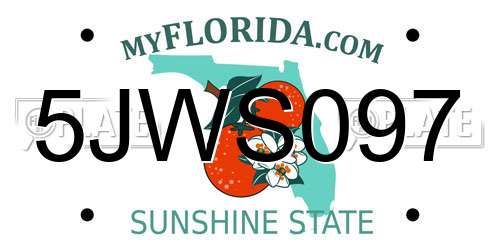 5JWS097 Florida License Plate
