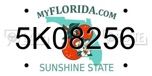 5K08256 Florida License Plate