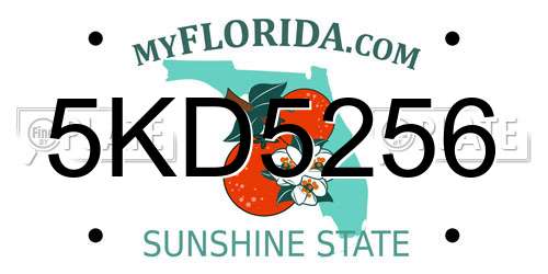 5KD5256 Florida License Plate