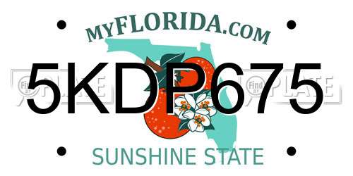 5KDP675 Florida License Plate