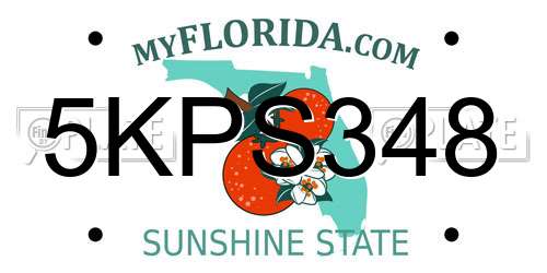 5KPS348 Florida License Plate