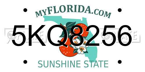 5KQ8256 Florida License Plate