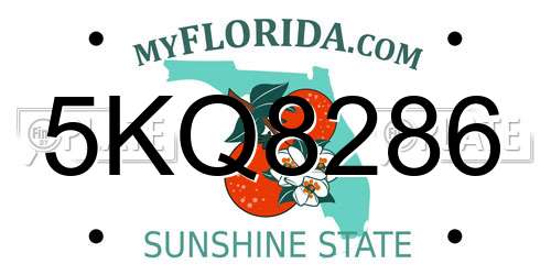 5KQ8286 Florida License Plate