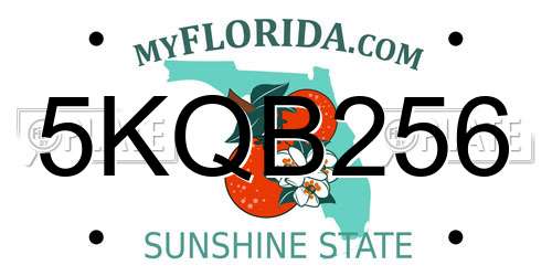 5KQB256 Florida License Plate