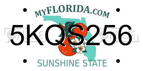 5KQS256 Florida License Plate