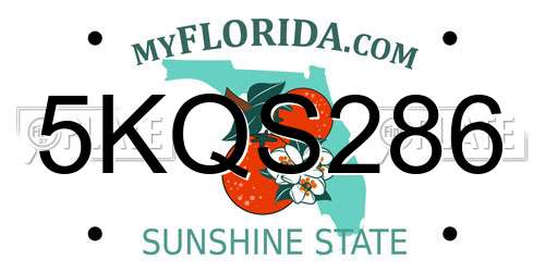5KQS286 Florida License Plate