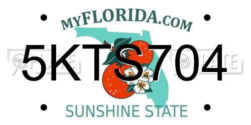 5KTS704 Florida License Plate