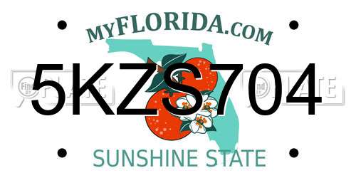 5KZS704 Florida License Plate