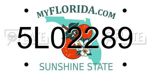5L02289 Florida License Plate
