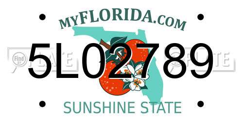 5L02789 Florida License Plate