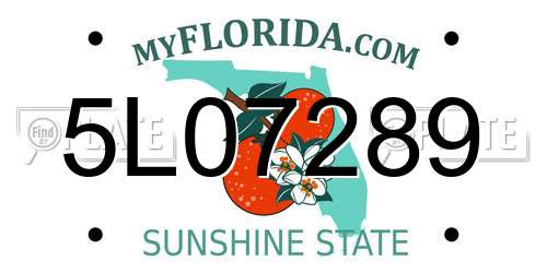 5L07289 Florida License Plate