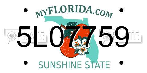 5L07759 Florida License Plate