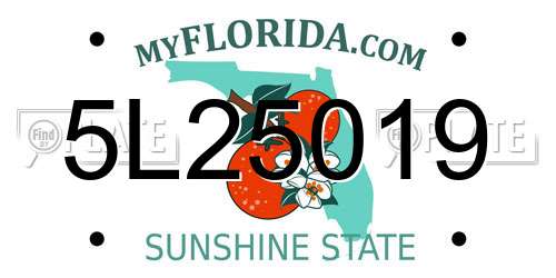 5L25019 Florida License Plate