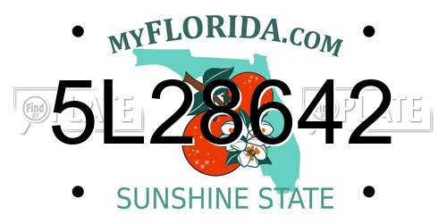 5L28642 Florida License Plate