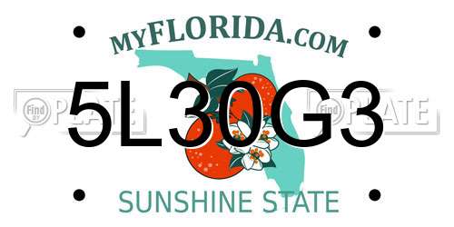5L30G3 Florida License Plate