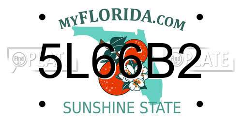 5L66B2 Florida License Plate