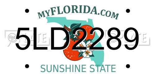 5LD2289 Florida License Plate